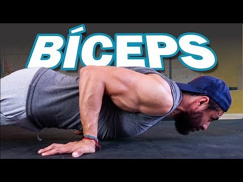 BÍCEPS SIN PESAS // 2 EJERCICIOS EN CASA
