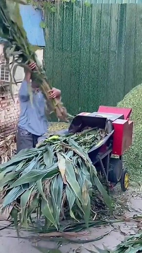 1.5K views | Chaff cutter ... #agriculturalmachinery #chaffcutter #feed #silagebaler | Smart Now | Facebook