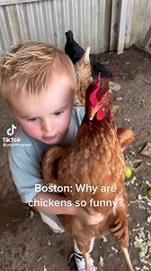 8.1K views · 118 reactions | Why are chickens so funny? Follow on TIkTok yeahthegrays | True Southern Accent | Facebook