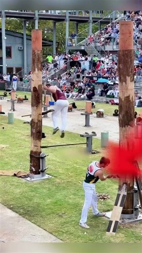 Innovative Lumberjack Strategy Wins Competition