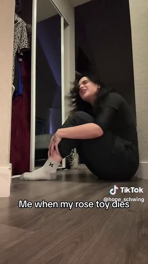 Rose Toy Videos: Exploring Usage and Topic Variants