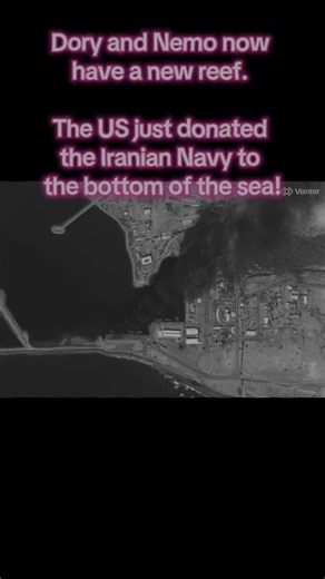 furia (@furiamulier)’s video of reef