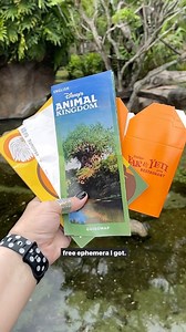 I asked in my stories if y’all wanted to see what I picked up for free at Disney World to make a junk journal and 100% of you said YES! So this is part one of gathering free ephemera at Disney World to make a junk journal. I’ll be adding some to a travelers notebook to document my trip, but the rest we’re going to use to make a full junk journal when we get home. Which park is your favorite? And did I miss something you would have grabbed? #junkjournal #disneyworld #waltdisneyworld #disneyjunkjo