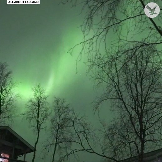 17K views · 713 reactions | Stunning footage of the Northern Lights captured in Finland | The Independent | Facebook