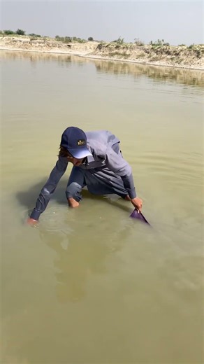 #fish 🐟🐟