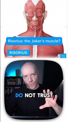 Risorius: the Joker's muscle