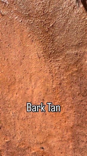 Pulled the rabbit hides from the bark tan solution. I’ll let them dry a bit, then rub some salve into the skin. #hides #rabbit #rabbitfur #barktan #tanning | Wildernut