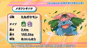 Mega咕噜米的Mega进化课堂：Mega妙蛙花