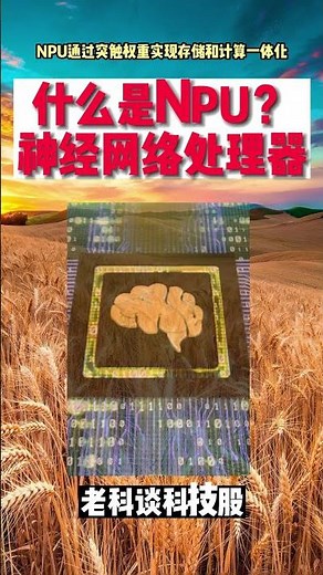 什么是NPU（神经网络处理器）？（CPU，GPU，DPU，DSP，MCU，SOC，NPU，系统讲解之NPU）