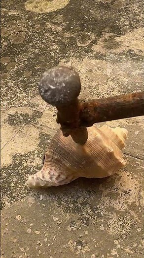 This Aluminum Snail Shell Casting Is Hypnotizing #shorts #metal #restoration #reels