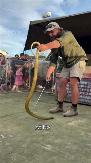 Don't You Dare Touch These Animals!