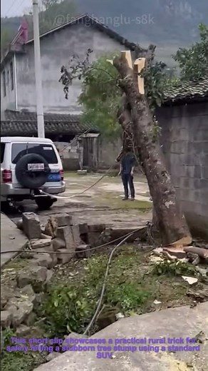Vehicle-Assisted Tree Pulling: Safe Stump Removal with a Car