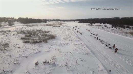 Weekend events in Manitoba: Feb. 20-22, 2026