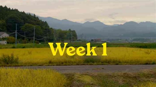 One week of van life in Japan what it is really like
