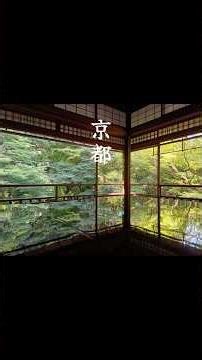 ぶらりゆらり京都🌿#butiful #旅行 #山寺 #butifulnature #絶景 #kyoto #もみじ #観光#苔#庭#鯉#池#庭園#瑠璃光院#紅葉#楓#山#美しい風景