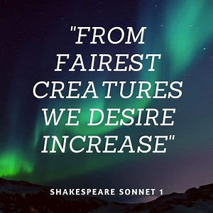 Sonnet 1: From Fairest Creatures We Desire Increase✔️