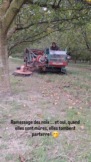 3.2K views · 1.5K reactions | Étape 1 : ramasser !!! #noix #ramassage #ramassagenoix #drôme #machinery #machine | Domaine des Granges | Facebook