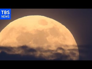 【総集編】「スーパームーン皆既月食」赤道儀で楽しむ赤い満月ライブ Total lunar eclipser （5月26日）