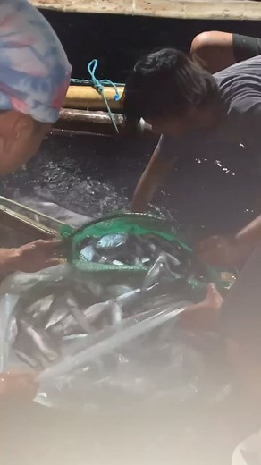 Tulingan #fishing #basnig #Paluan #mackereltuna | AquaWats Fishing