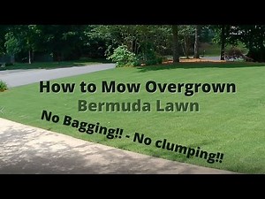 How to Mow Overgrown Bermuda Lawn - With Rotary Mower - No Bagging - Clean Results