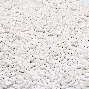 White Rocks. Decorative Pebbles. 1/5 Inch 10 lbs for Garden, Landscaping, Indoor, Vase Fillers, Crafting, Succulents, Pots, Plants (Mini, Tumbled)