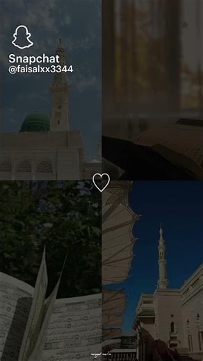 ١٣ فبراير ٢٠٢٦