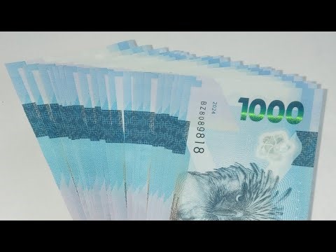 Q TV is live! Pa Laundry Day 145 Panic Panic 135 Low Budget Oct 31 2025 Friday