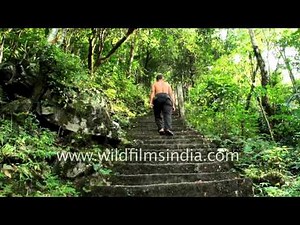 Thousands of steps to reach Meghalaya's Hanging Root Bridge