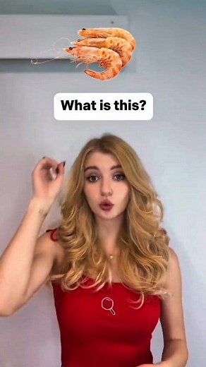 Guess the Seafood! #EnglishQuiz #LearnEnglish #Seafood #Vocabulary #FoodQuiz | Zars joy