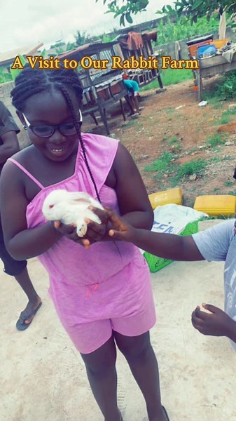 Exploring Our Rabbit Farm in Ghana