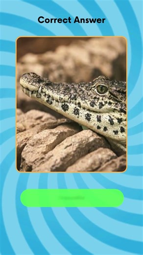 Which animal has the most powerful bite? #predetor #animals #quiz #games #ai #shorts #quizzes #fyp