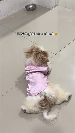 Alam na this hahahaha #sammyandcheesecake #sammyandfurrmily #furmomlife