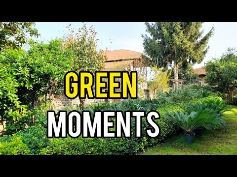 Walking Through Our Garden & Home Yard | Late Autumn Vibes 🏡🍂