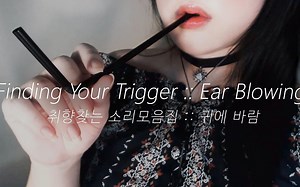 【ASMR PPOMO】【中文字幕】PPOMO吹气寻找你的触发音~