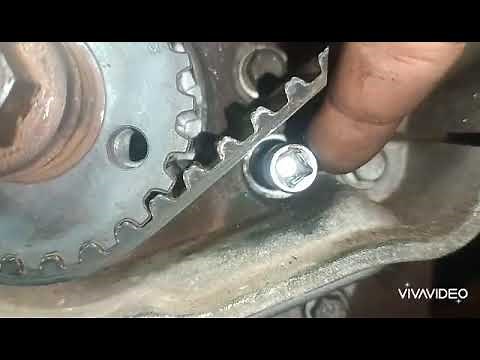 Signs for the timing of the Iveco Daily engine