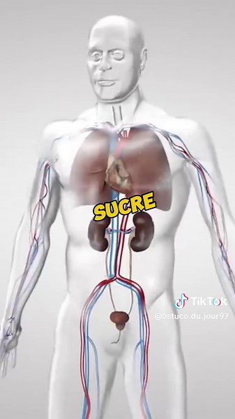 Bienfaits de petit Cola pour les hommes