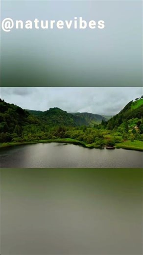 #nature #naturelove #natureslideshow#peace #flowers #trees #green#relax #calm #naturevibes