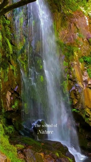 The Sound of Nature | Waterfall #waterfallsounds #soundofnature #relaxing #nature