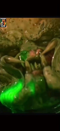 (part 2) Predator Final Scene