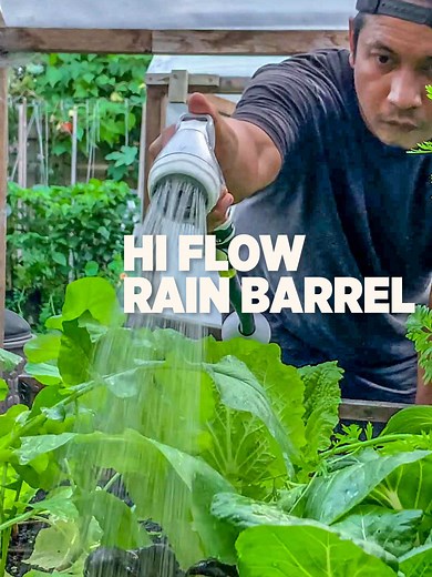 Efficient Rain Barrel Watering System Setup Guide