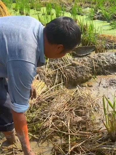 Embracing Nature: A Day of Fishing and Relaxation