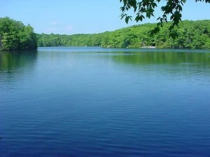 Millers Pond State Park - Alchetron, the free social encyclopedia