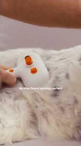 How a Dog Helped Build a €1.5M Pet Brand | Meet the Maker