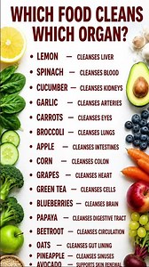 Which Foods Support Which Organs? | Best Foods for a Healthy Body 🥦🍋❤️