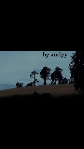 feel so blue #cinematography #flawedmangoes #mycinematiclife #lifeisstrange