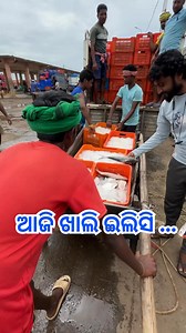 ଆଜି ଖାଲି ମୁହାଣ ଇଲିସି 🐟 | Rajat Patra