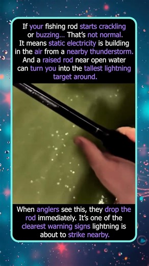 If Your Fishing Rod Starts Buzzing, You're in Serious Danger
