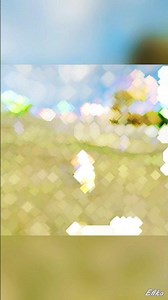#edit