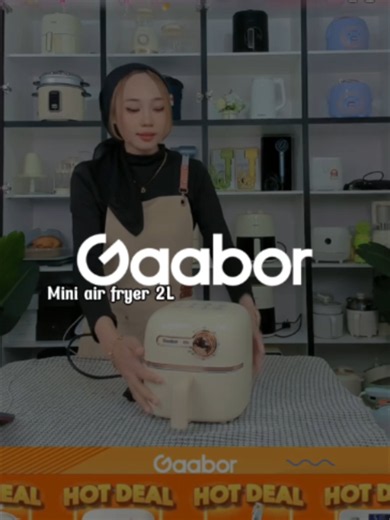 Mini Multi-Function Air Fryer 2L — Compact GAABOR Home Essential
