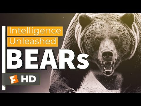 Bear Intelligence: Surprising Problem Solving Abilities